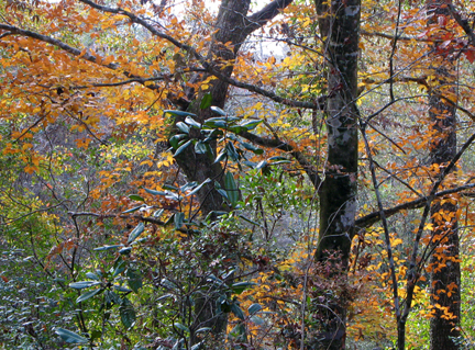 A fall hike provides great colors along the trail. Lori Ceier/Walton Outdoors