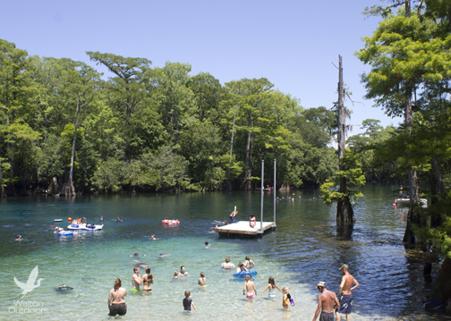 Swimmers and divers at Morrison Springs. Lori Ceier/Walton Outdoors
