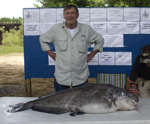 Bill Stewart with his 69.8 lb. blue catfish on May 30, 2015. Lori Ceier/Walton Outdoors