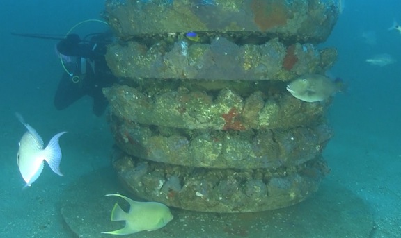 Reef similar to what will be deployed approximately 350 ft. south of the Grayton Beach State Park shoreline