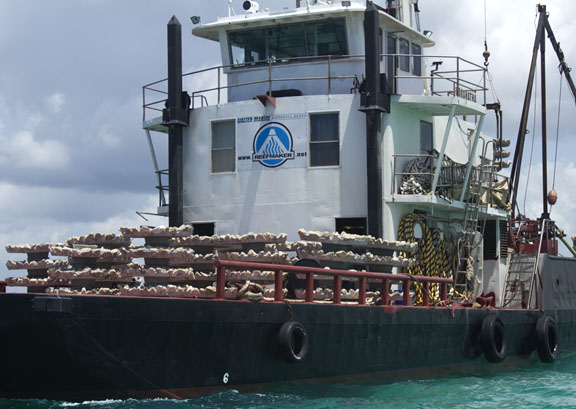 New reef structures ready to be deployed. Lori Ceier/Walton Outdoors