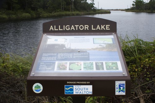 Interpretive sign at Alligator Lake. Lori Ceier/Walton Outdoors