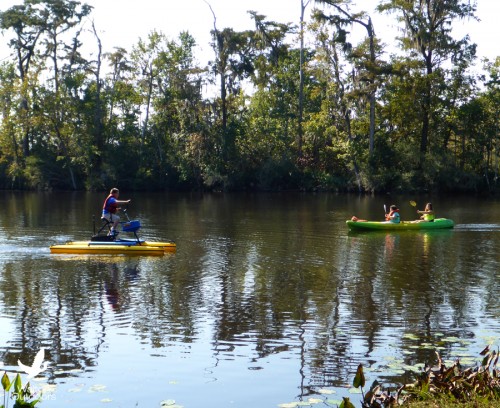 Kids enjoying Hydrobikes and kayaks along Black Creek. 